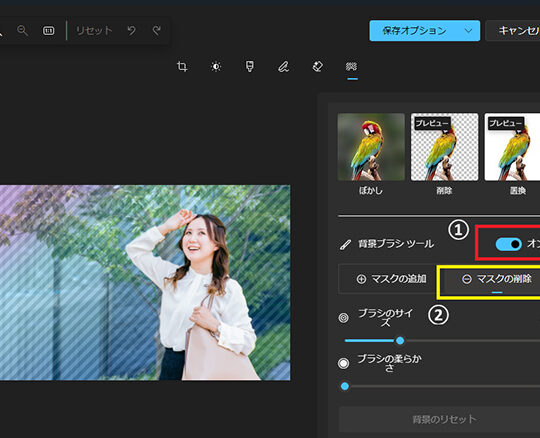 プライバシー保護に！ Windowsで画像にモザイクをかける方法