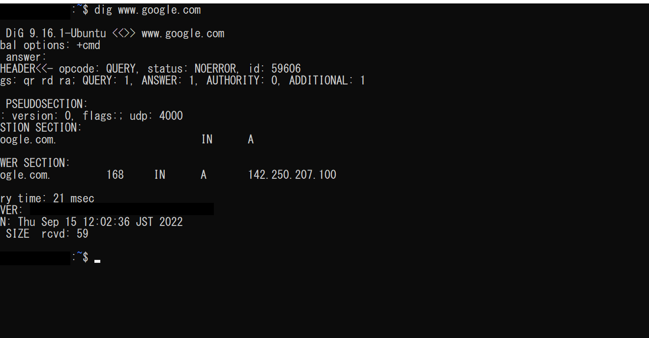 Windowsでdigコマンドを使う方法！DNSレコード 조회