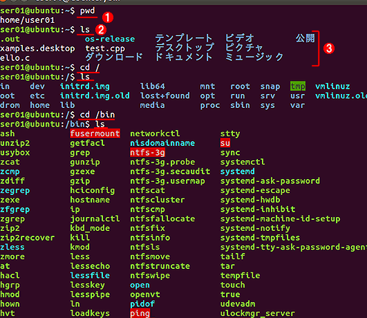 Windowsでlsコマンドを使う方法！ファイル一覧を表示
